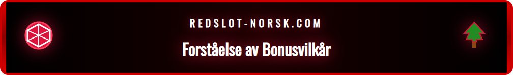Nærbilde av en person som leser bonusvilkår på en dataskjerm.