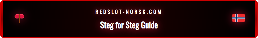 En person som følger en guide på en datamaskin for å aktivere sin bonus.